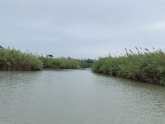 -泗洪洪泽湖湿地景区
