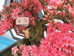 -鼓歌海鲜舫·手抓海鲜(大学城店)