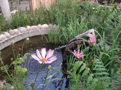 -中家鑫园温泉酒店鑫悦汤泉