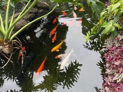 -聚福宝合苑食府(南头镇店)