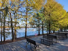 -上海海湾国家森林公园