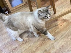 -白兔子密室(长寿路店)