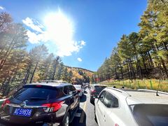 -塞罕坝国家级自然保护区