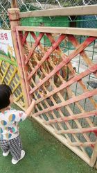 -萌宠亲子动物乐园(槐房万达店)