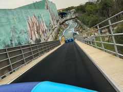 -上海海昌海洋公园