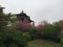 -西安青龙寺遗址景区