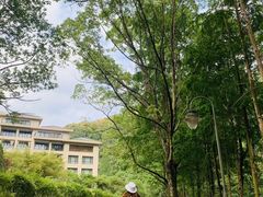-宁海森林温泉