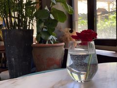 -the rug 飞毯 (朝阳公园店)