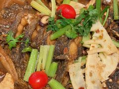 -老板恋上鱼(恒隆广场店)