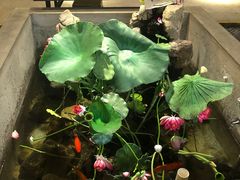-灶东家民间菜(回兴店)