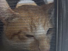 -中农大我爱我爱24h动物医院·中医针灸·猫专科·骨科医疗中心(双井店)