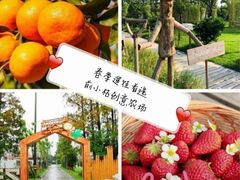 -前小桔亲子创意农场·草莓采摘·露营烧烤
