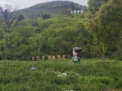 -协和菜馆(凤凰街店)