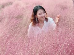 -鹅湖玫瑰文化园