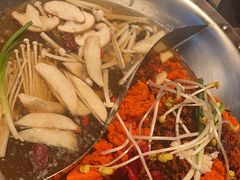 -辣伍鲜毛肚老火锅(元一店)