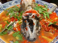 -湘潭九龙鱼头店(城南西路店)