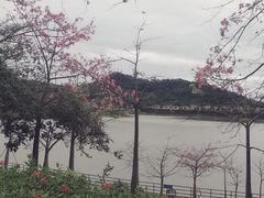 -风云岭森林公园