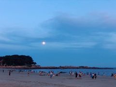 -马銮湾景区