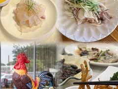 -美未居·老字号·地道顺德菜·桑拿鸡·鱼生(容桂店)