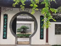 -水绘园