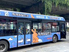 -帕帕拉兹宠物(亚洲旗舰店)