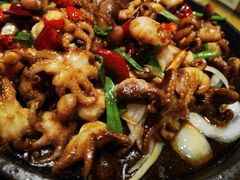 铁板八爪鱼-凯鸽酒楼(大同振兴街店)