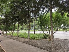 -汉长安城未央宫国家考古遗址公园