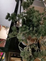 -香秀空间科技抗衰·美容中心