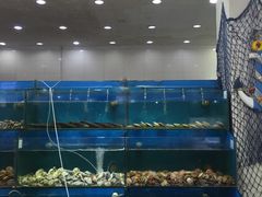 -海岛渔村大酒店(云霄路店)
