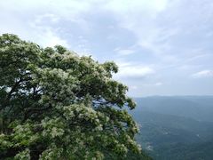-鼓岭旅游度假区
