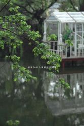 -糖果baby儿童摄影定制馆(外景店)