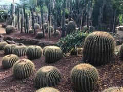 -呀路古热带植物园