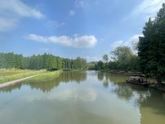 -溱湖国家湿地公园