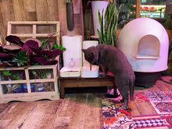 -青木造型HAIR·あおき髪を刈る潮人店