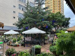 -山菌美食苑(振兴路店)