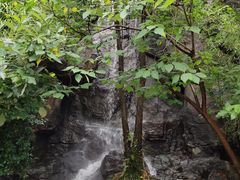 -天目湖山水园