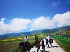 -青海湖国家重点风景名胜区