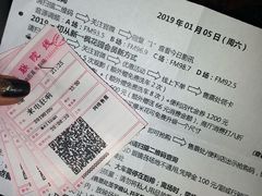 -枫花园汽车电影院(朝阳公园店)