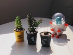 -泡泡玛特POPMART(天环购物中心店)