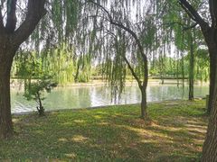 -上海佘山茂御臻品之选酒店(原佘山艾美酒店)