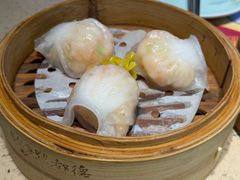 -点都德·毕德寮