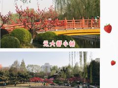 -元大都城垣遗址公园