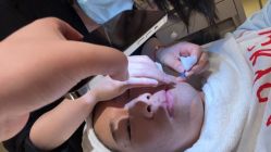 -雅荷悦来双美