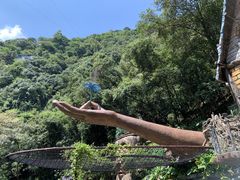 -古龙峡云天玻霸