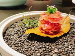 -三利音·浦之舟(滨江大道店)