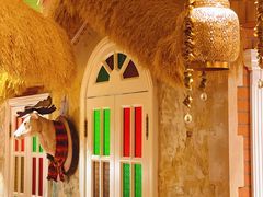 -叶叶菩提(太原别墅店)