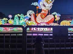 -花博汇(知音花月夜)