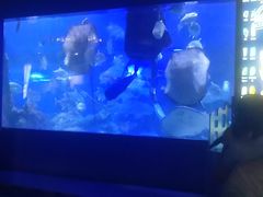 -重庆欢乐海底世界