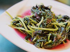 -新聚丰菜馆(太监弄店)