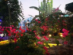 -海市蜃楼花园主题餐厅(石顶店)